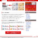 クレジットカード紹介 wordpress CMSサイト